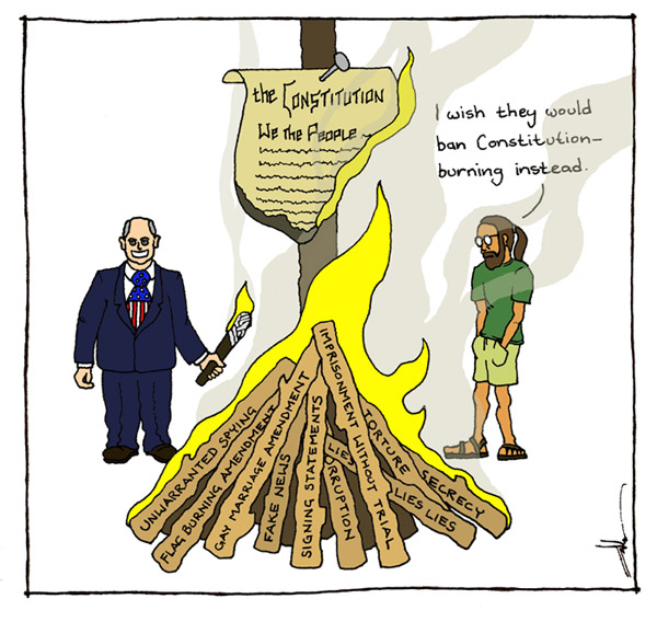 constitution burning